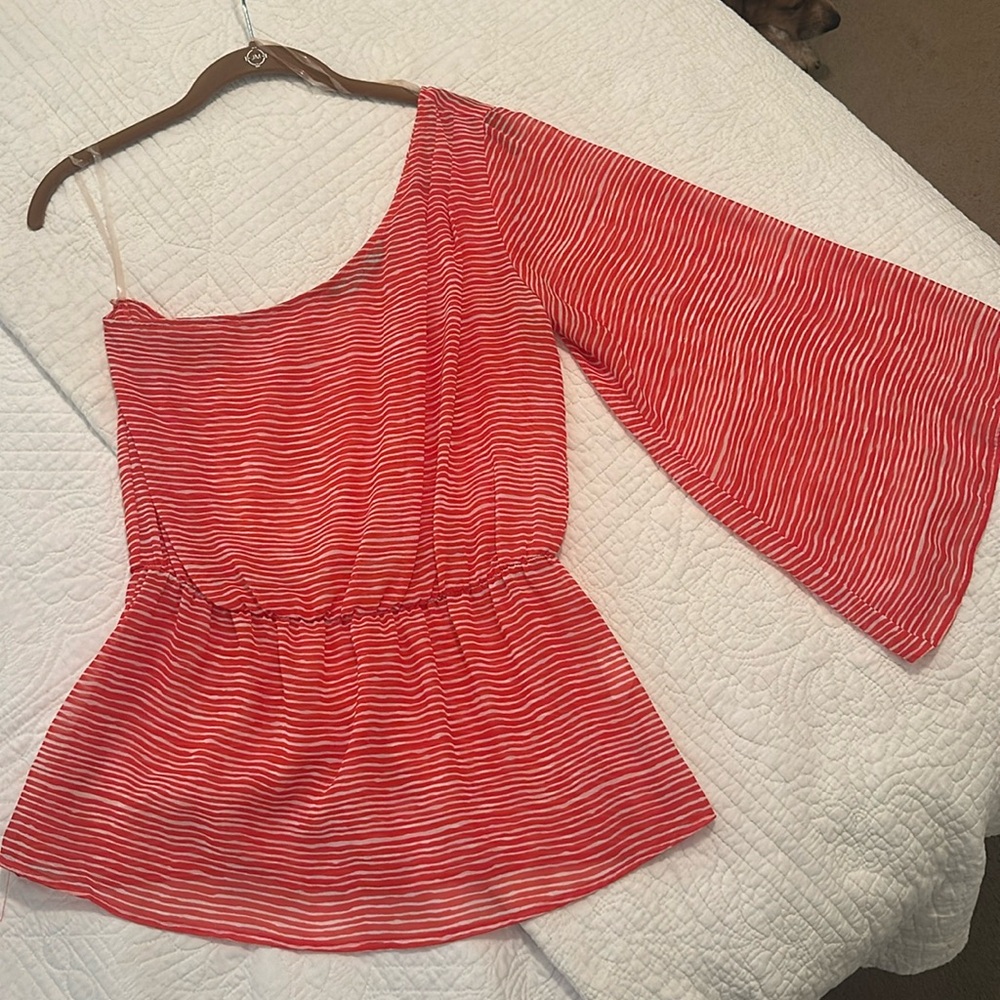 Karlie One-Shouldered Bell Sleeve Sheer Blouse - Medium